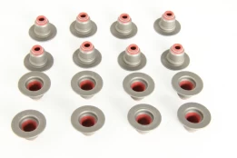 REINZ 12-34439-01 Valve stem seal set kaina