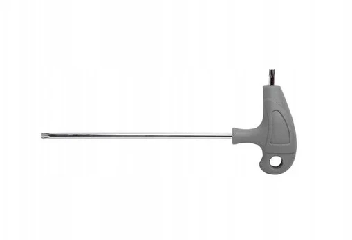 Raktas Torx security T25 su skyle Proline