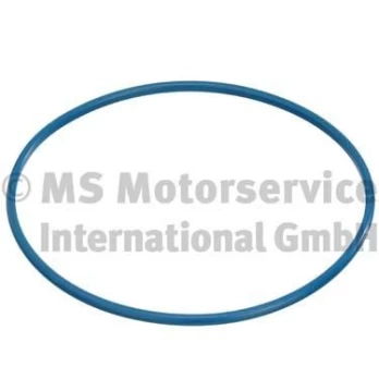 PIERBURG 3.32038.00.0 Fuel pump seal