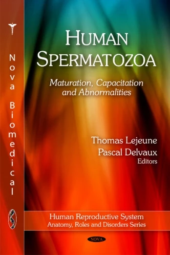 Human Spermatozoa