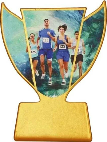 Detal Metalinis trofėjus – Lenktynės
