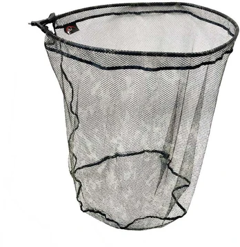 Graibšto galva FL Graibštas