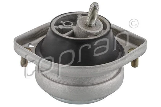 Variklio montavimas TOPRAN 500 749