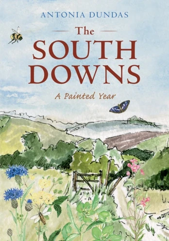 South Downs