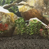Vulkaninės uolienos, juodos spalvos, 25kg, 1-2cm kaina