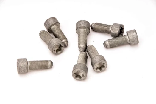 LUK 411 0160 10 Flywheel bolt set