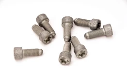 LUK 411 0160 10 Flywheel bolt set kaina