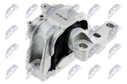 Variklio montavimas NTY ZPS-VW-031 kaina