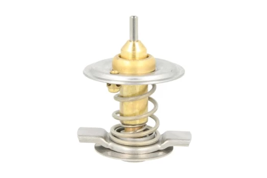 termostatas, aušinimo skystis THERMOTEC D2M004TT