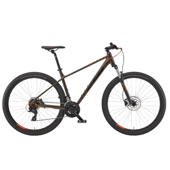 KTM Chicago 292 29" 24G dydis 17" (43cm) (ruda)