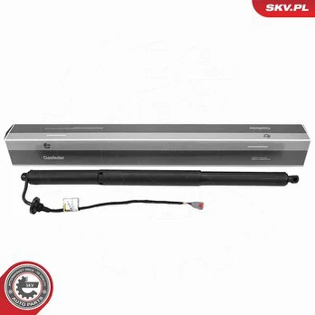 Galinių durų elektros variklis ESEN SKV 52SKV278