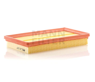Oro filtras C31012