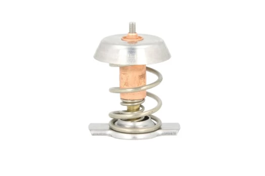 termostatas, aušinimo skystis THERMOTEC D2X002TT