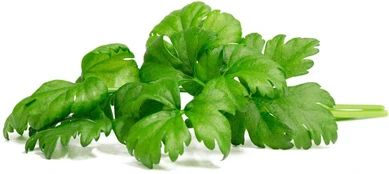 Click & Grow Smart Garden Refill Leaf Celery 3pcs | SGR97X3 kaina