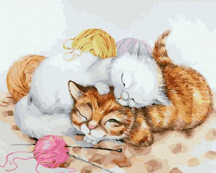 TPS Tapybos rinkinys "Kittens sleep in balls"