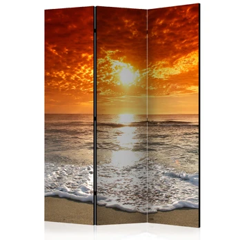 Artgeist Pertvara - Marvelous sunset [Room Dividers]