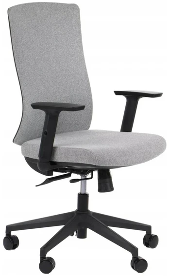 Stema Ergonomiška biuro kėdė Tono, pilka