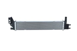 Variklio radiatorius NRF 550318