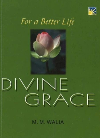 For A Better Life -- Divine Grace