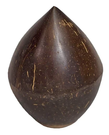 Kokoso formos šeikeris Terre 6cm