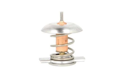 termostatas, aušinimo skystis THERMOTEC D2X006TT