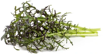 Click & Grow Smart Garden refill Red Frill Mustard 3pcs | SGR77X3 kaina