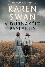 Vidurnakčio paslaptis kaina