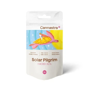 Cannastra H4CBD 30% Flower Solar Pilgrim Kanapės