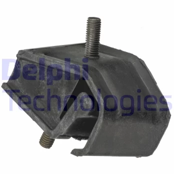 Variklio montavimas DELPHI TEM068