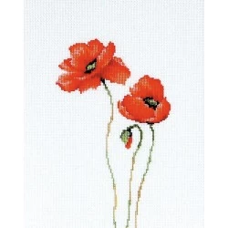 Poppies SB2225