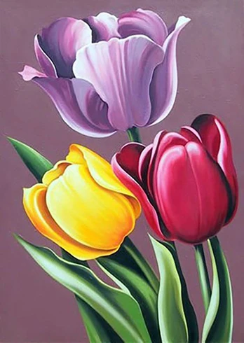 Deimantinis paveikslas Tulip Aroma WD021 27*38 cm