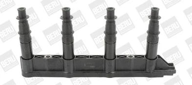 Ritė, uždegimas BorgWarner (BERU) ZS472