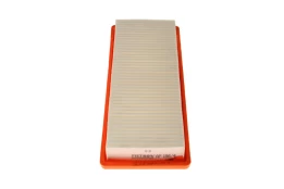 Oro filtras FILTRON AP196/4 kaina