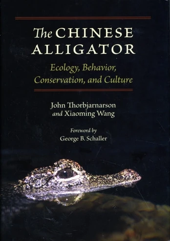 Chinese Alligator