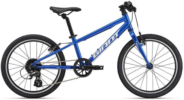 Vaikiškas dviratis Giant ARX 20 Cobalt (2025) (C)