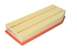 Oro filtras FILTRON AP118/9 kaina