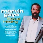 CD Marvin Gaye - Sexual Healing