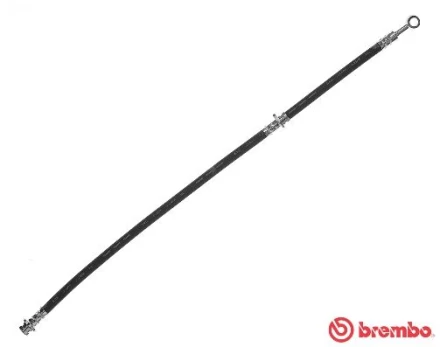 Stabdžių žarnelė BREMBO T 56 151