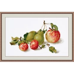 Apples S924