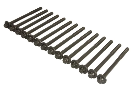 ELRING EL469830 Cylinder head bolt set