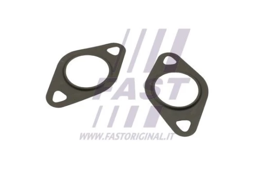 Tarpiklis, EGR vožtuvas FAST FT50608