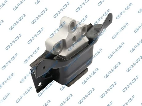 Variklio montavimas GSP 533846