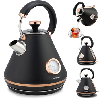 Virdulys Berdsen BD-701