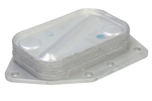 Alyvos radiatorius THERMOTEC D4F011TT