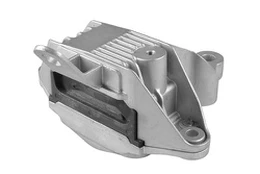 Variklio montavimas TEDGUM TED89529