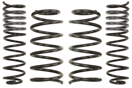 Žeminanti spyruoklė (30/30 mm) Pro-Kit (4 vnt.) E8594-140