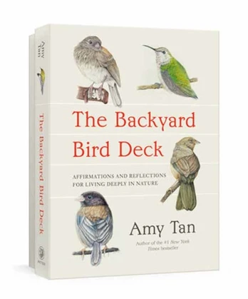 Backyard Bird Deck