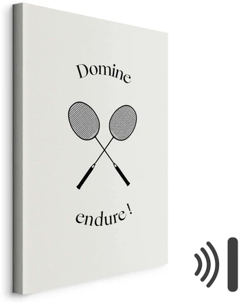 Paveikslas Juodos badmintono raketės