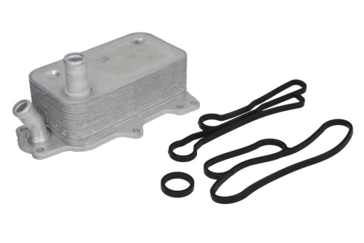 Alyvos radiatorius THERMOTEC D4G020TT
