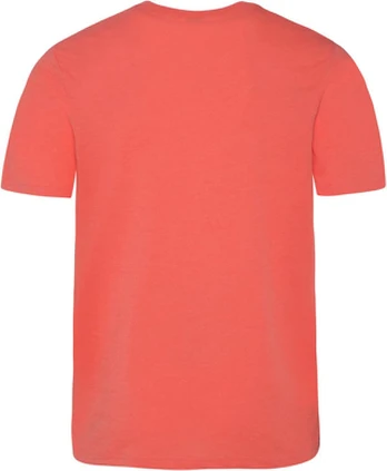 No Name Koszulka męska Protest PRTARMANN t-shirt S